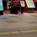 果たしていくら負けた？パチンコ屋の前で絶叫する人!