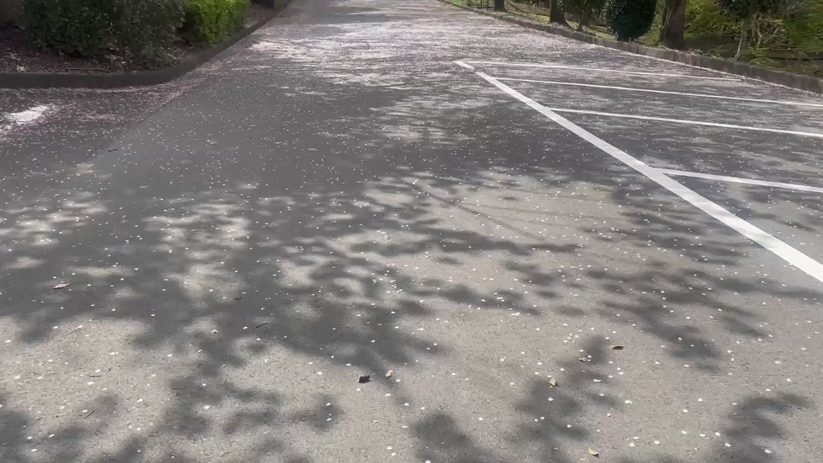 海街diary 画像 最新情報まとめ みんなの評価 レビューが見れる ナウティスモーション 2ページ目 海街diary 画像 最新情報まとめ みんなの評価 レビューが見れる ナウティスモーション 2ページ目