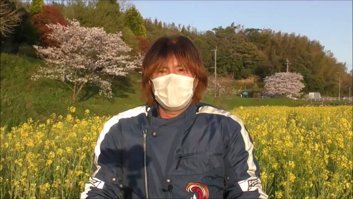 八重の桜 出演者 最新情報まとめ みんなの評価 レビューが見れる ナウティスモーション 八重の桜 出演者 最新情報まとめ みんなの評価 レビューが見れる ナウティスモーション