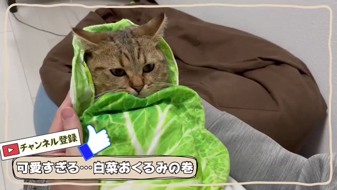 牛タン塩カルビさん の最近のツイート 2 Whotwi グラフィカルtwitter分析