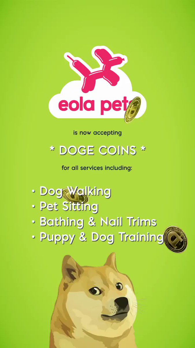 Eola Pets  Downtown Orlando Dog Walking, Pet Setting, & Training