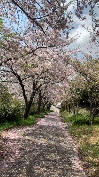 画像まとめ 秒速5センチメートル 5ページ目 アニメレーダー 画像まとめ 秒速5センチメートル 5ページ目 アニメレーダー