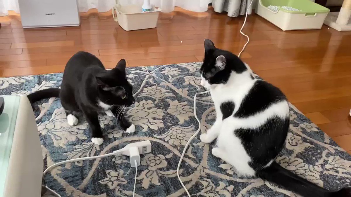 解せぬ