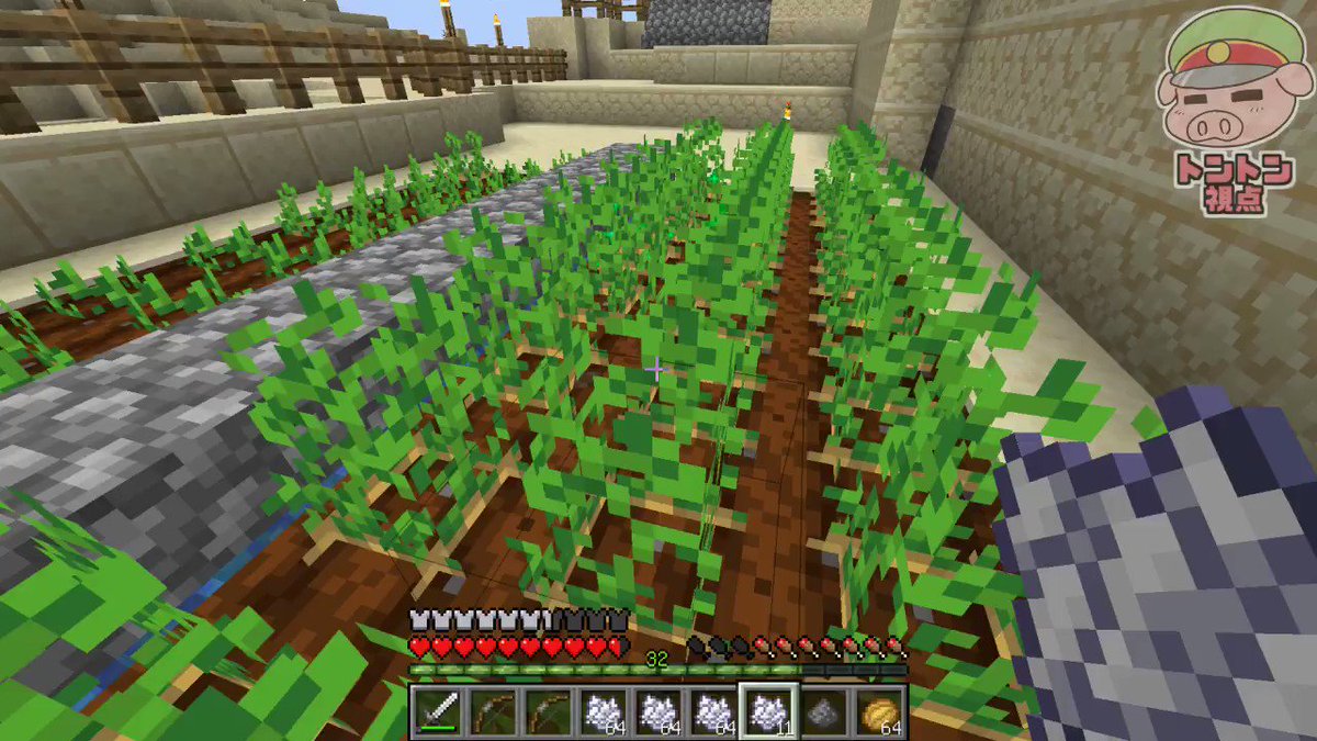 マイクラネザーvs現世 飛び込め 突撃エンドポータル 26 略奪者たちに翻弄された現世組 拠点周りを強化する為に人手を増やしたい模様 今度こそ全員でエンドに突撃だ 動画はコチラ Youtu Be Ug4ukjimaum 話題の画像がわかるサイト