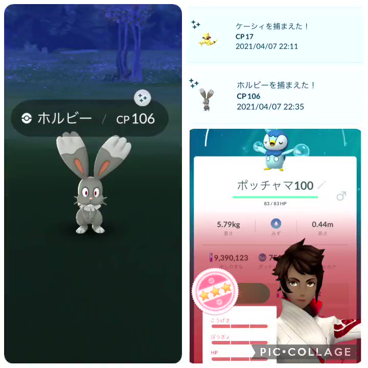 ポケモンgo ポッチャマの色違い 入手方法と実装状況 攻略大百科 ポケモンgo ポッチャマの色違い 入手方法と実装状況 攻略大百科