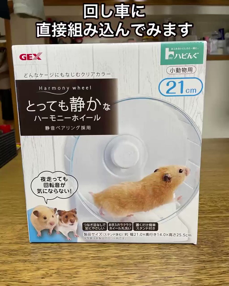 回し車カウンター HLgiDOPH2kdaK7SO.jpg