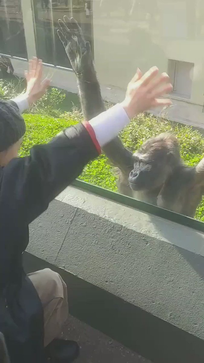 猫 大地真央 最新情報まとめ みんなの評価 レビューが見れる ナウティスモーション
