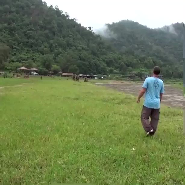 When he calls them, the elephant he helped rescue come running https://t.co/Ivtc9PF690