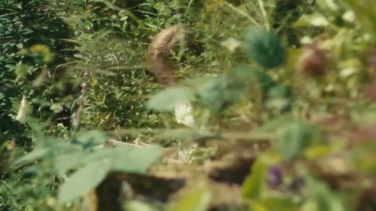 It\s 1:14am, 12/04, so happy birthday to my baby saoirse ronan  