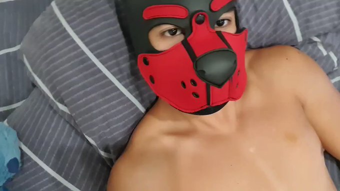 Pup woke up horny todayy???? https://t.co/2RK1AQyMcc