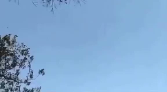 Video footage of Myanmar military terrorist forces air bombardment attack on KIA brigade 5, AhLawBum village today.
#Apr12Coup
#WhatsHappeningInMyanmar @TostevinM @poppymcp @clarissaward @Reaproy @Reuters @BBCWorld @CNN @YourAnonCentral @USEmbassyBurma @eAsiaMediaHub @UNGeneva https://t.co/JqVVZBDIGk