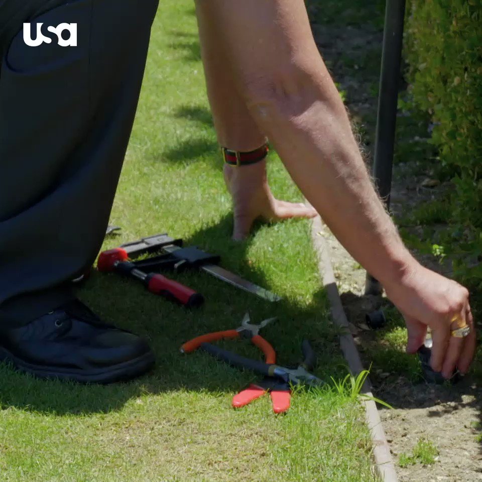 TONIGHT!!! The #itFamily is BACK! Watch an all new episode of #MizAndMrs 11pm ET after @wwe #raw on @usa_network #familyFunForEveryone @bunimmurray @MizandMrsTV https://t.co/xIXrXHHvXr