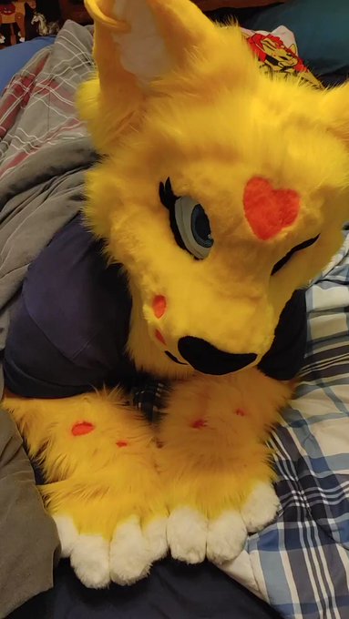 Hope everyone's having a good day!  Some information for those asking about the only fans account. We<a href="/tag/furry"class="tags"><span>#furry</span></a><a href="/tag/fursuit"class="tags"><span>#fursuit</span></a><a href="/tag/fursuiteveryday"class="tags"><span>#fursuiteveryday</span></a>