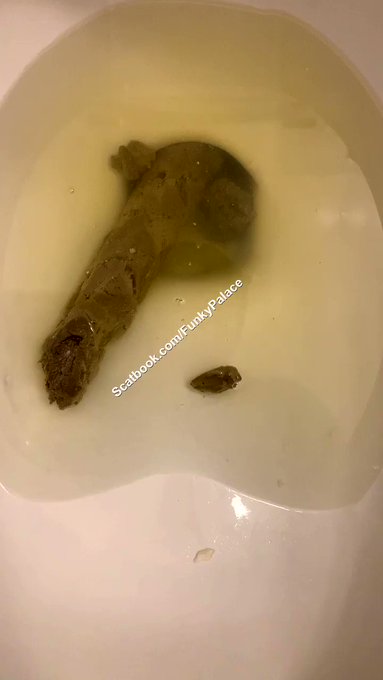 I wanted to see long my turd was 💩 what you think 👀 #Scatplay #scat #scatgirls #funkypalace https://t