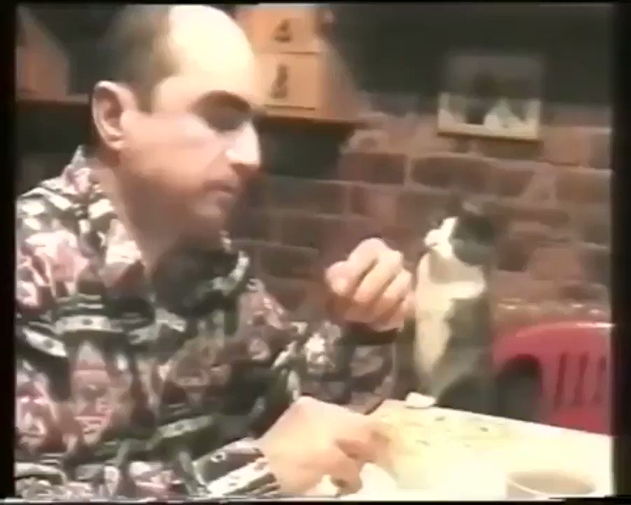 耳が聞こえない飼い主にジェスチャーで伝える猫、賢くて可愛い！