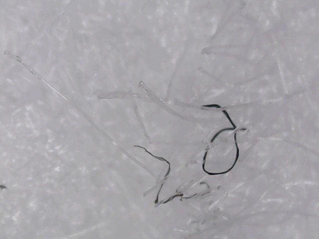 ポケモン 私は あの世界の生き物 として見てるのだが ポケモンを 架空の可愛い生命体 として見てる人と絶対的に話が合わない部分が ポケモンを食べるか否か だなぁと思う 何かこの話題を出していい人とダメな人は見極めないと結構溝を作るハメになる ポケモン 私は あの世界の生き物 として見てるのだが ポケモンを 架空の可愛い生命体 として見てる人と絶対的に話が合わない部分が ポケモンを食べるか否か だなぁと思う 何かこの話題を出していい人とダメな人は見極めないと結構溝を作るハメになる