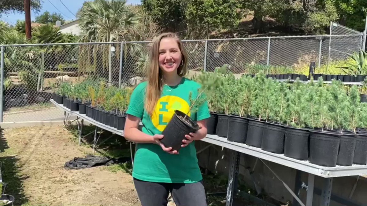 While in LA our Chief Service Officer @JoshFryday stopped by @cityplants where a few of the California #ClimateActionCorps Fellows serve to check out the urban forest projects they are working on that will protect vulnerable LA communities for future generations. (1/2) https://t.co/xkOuzQ8LWN