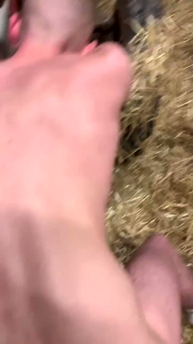 fucked on a Traktor by the farmers son

??get a free onlyfans link

?vote for me for the European grabby