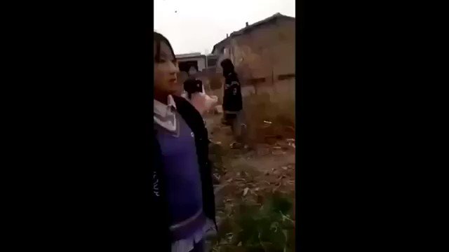 校园暴力中国    