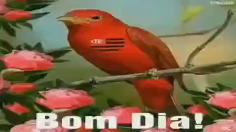 video archive on Twitter: video archive on Twitter: