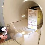 MRIに金属は絶対持ち込み禁止!ハサミが空中を飛んでダンボールに刺さる動画!