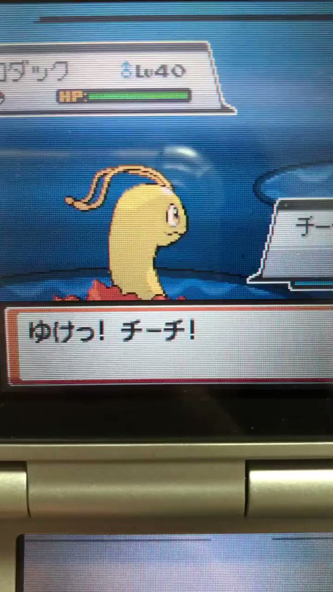 ポケモンgo メガニウムの色違い 入手方法と実装状況 攻略大百科 ポケモンgo メガニウムの色違い 入手方法と実装状況 攻略大百科