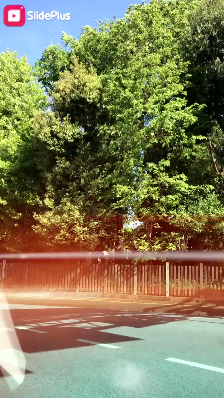 本城よしみ Yoshimihonjyo Twitter