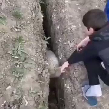 またかい。と思ってしまう。助けてあげたら、元にもどった。