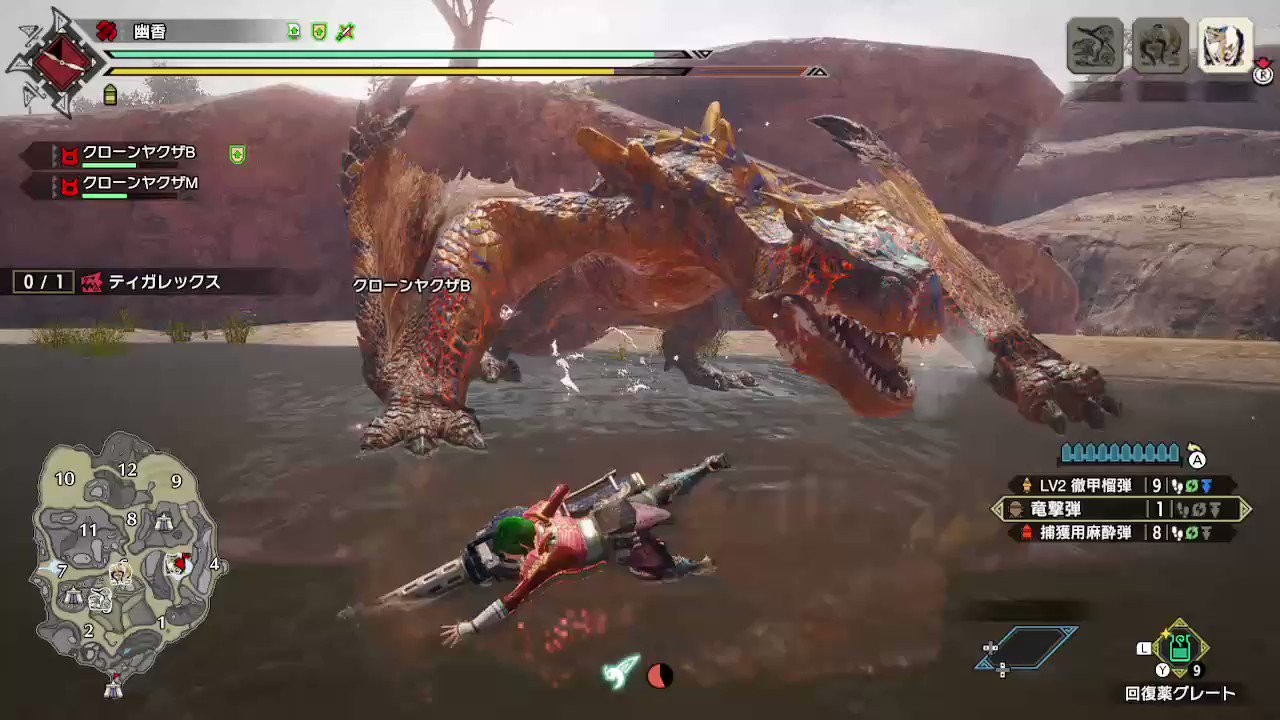 Re: [MHR ] 這代的銃槍 傷害算是偏低嗎 ?