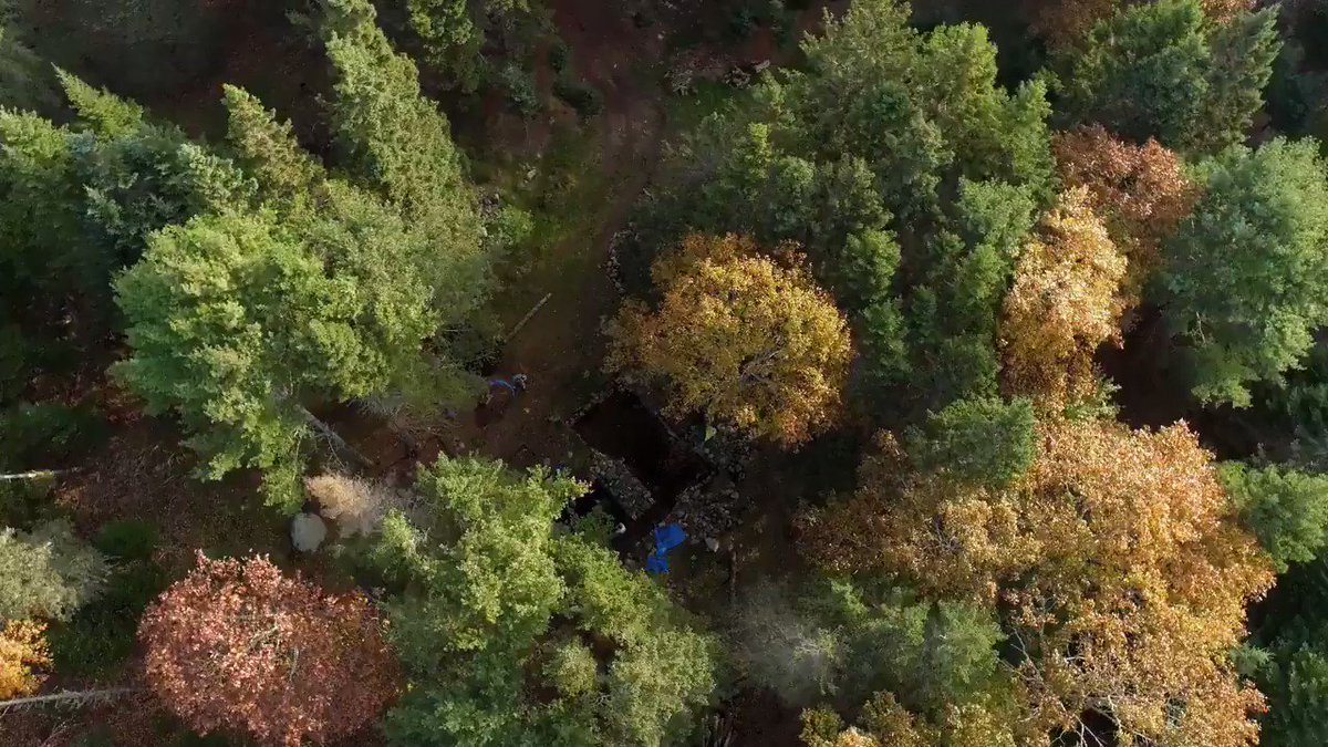 Curse of Oak Island on Twitter "If the team wants answers, they'll