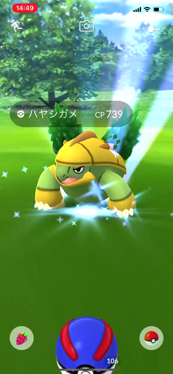 ポケモンgo ハヤシガメの入手方法 能力 技まとめ 攻略大百科