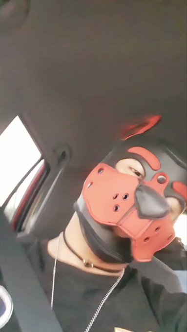 Chickie nuggies woke this puppy up. https://t.co/kbCxVTfKdS