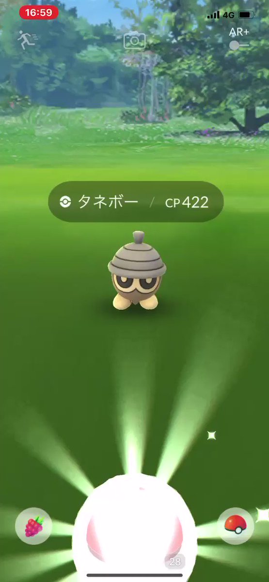 ポケモンgo タネボーの入手方法 能力 技まとめ 攻略大百科