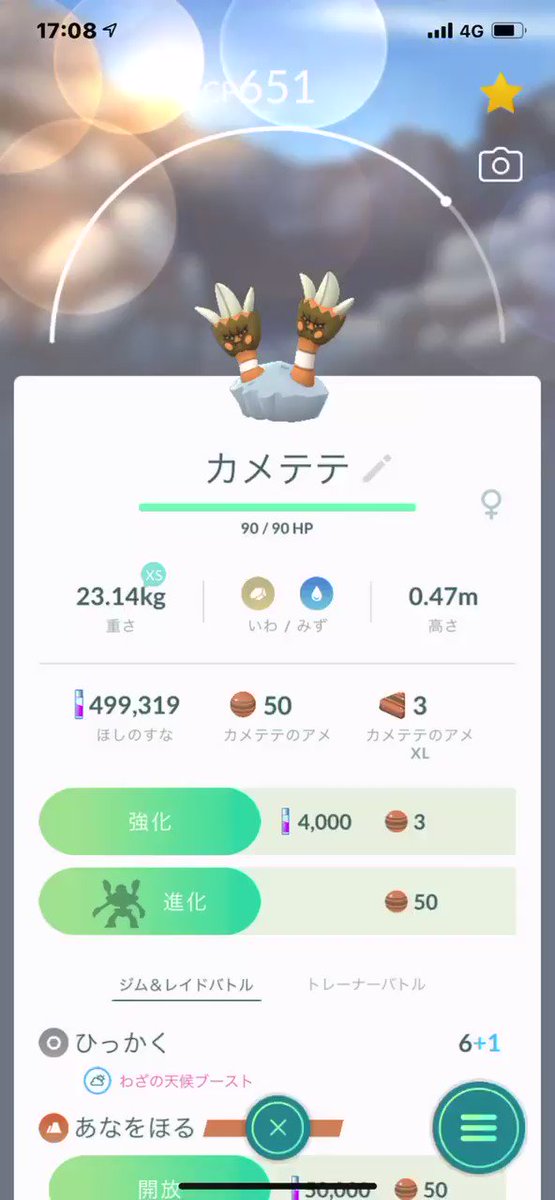 ポケモンgo カメテテの入手方法 能力 技まとめ 攻略大百科 ポケモンgo カメテテの入手方法 能力 技まとめ 攻略大百科