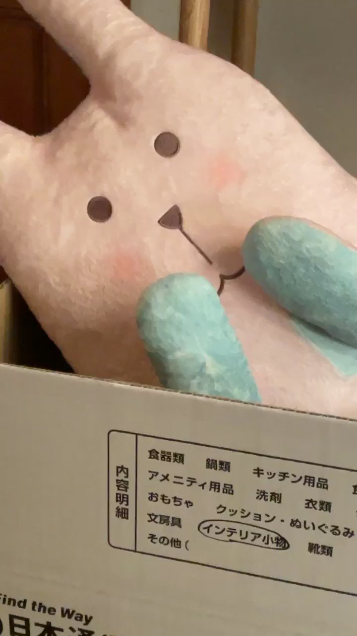 @rikokatsu_tbs's video Tweet @rikokatsu_tbs's video Tweet