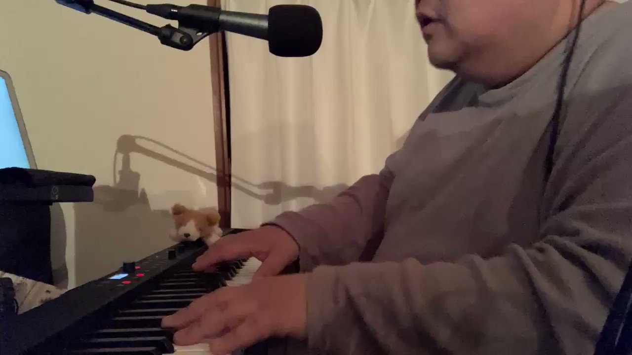 Follow ぞうさんセンセ S Zousansense Latest Tweets Twitter