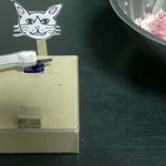 手作り感満載のすり切り!？大さじ1をすり切ってくれる猫がシュールすぎる!