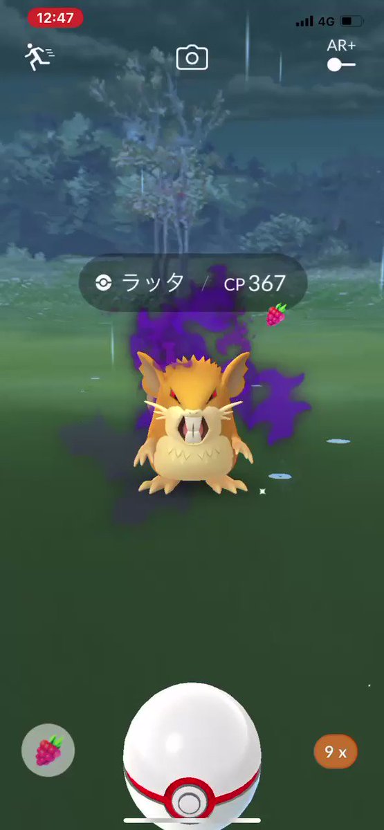 ポケモンgo ラッタの入手方法 能力 技まとめ 攻略大百科 ポケモンgo ラッタの入手方法 能力 技まとめ 攻略大百科
