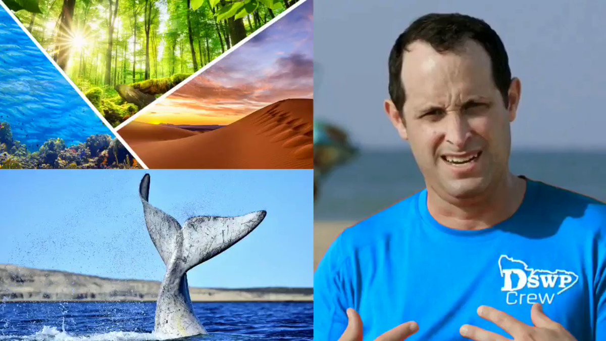 βIf we're going to preserve Life, whether it's ours or theirs, it's really important that we protect cultural diversity both in our own societies and the ecosystem as a whole.β β Dr. Shane Gero (@sgero), Founder of @DomWhale, the Dominica Sperm Whale Project #SecretsofTheWhales https://t.co/zoJP5tjwst