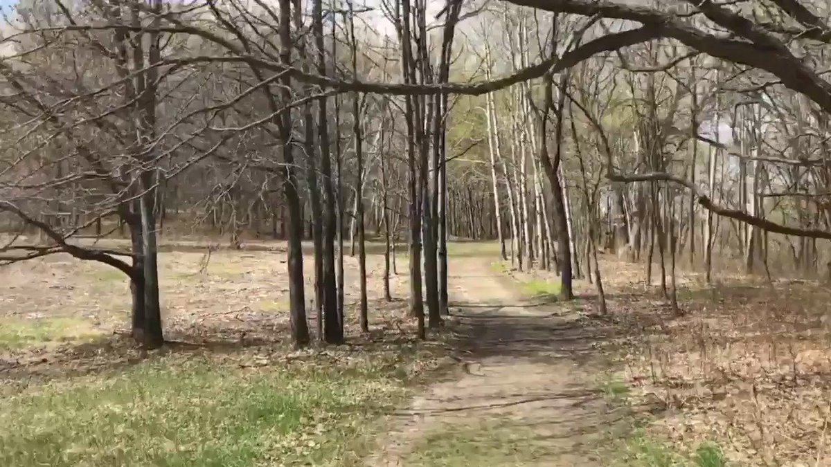 Finally some nice weather after what felt like weeks of cloudy, wet, and cold weather
#dailywalk #hyperlapse #localpark #Minnesota https://t.co/vnMRgBJ3P5