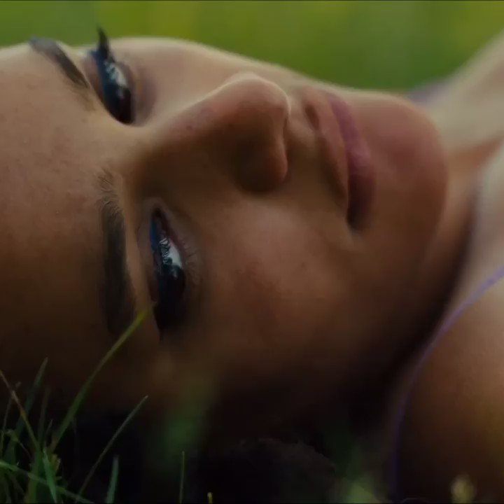 RT @saoirswift: american honey (2016) 
tw/ shia labeouf https://t.co/EIIOpj6aeh