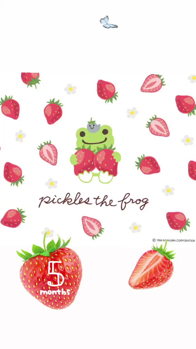 Pickles The Frog かえるのピクルス Hp壁紙ダウンロード更新しました かえるのピクルス Picklesthefrog フラワーエンジェル 5月の壁紙 May ピクルス壁紙 5月の壁紙は苺 可愛くて美味しい 食べたくなっちゃいます スマートフォン用壁紙も