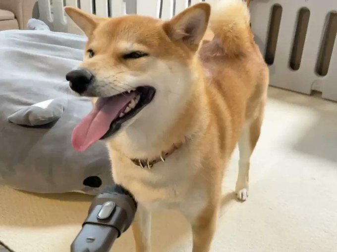 如月みゆ さん の最近のツイート 10 Whotwi グラフィカルtwitter分析