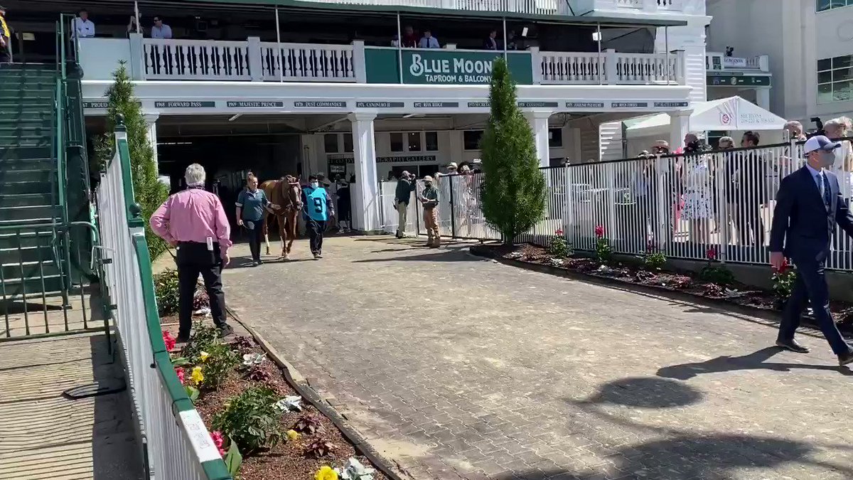 @BreedersCup's photo on Whitmore