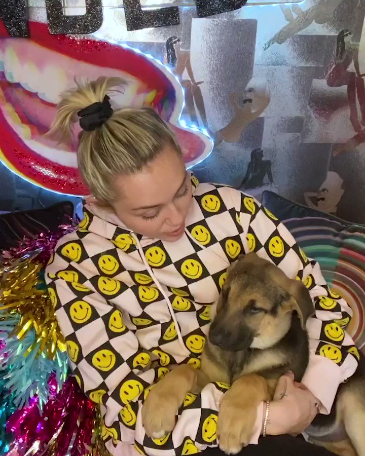 🐶 snuggles + @MileyCyrus + words of wisdom = 🙌 💯💫
Our #TakeABreak series featuring some your favorite faces is nominated for @TheWebbyAwards ✨
You can vote and show some love: https://t.co/NRNr20WNMP https://t.co/IyhdMBYt85