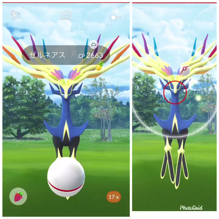 ポケモンgo 伝説レイド ゼルネアス捕獲のコツを動画で紹介 捕まえ方を予習しよう Socomの隠れ家