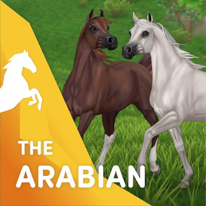 Star Stable On Twitter Fiery Fierce And Fast Updated Awesomearabians Arrive To Jorvik On May 5th This Updated Gen 3 Arabian Will Be Available At Goldspur S Farm And One Of