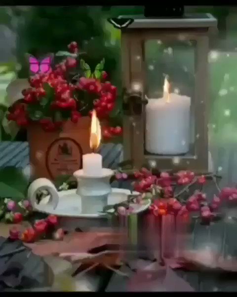 20Nur23 photo