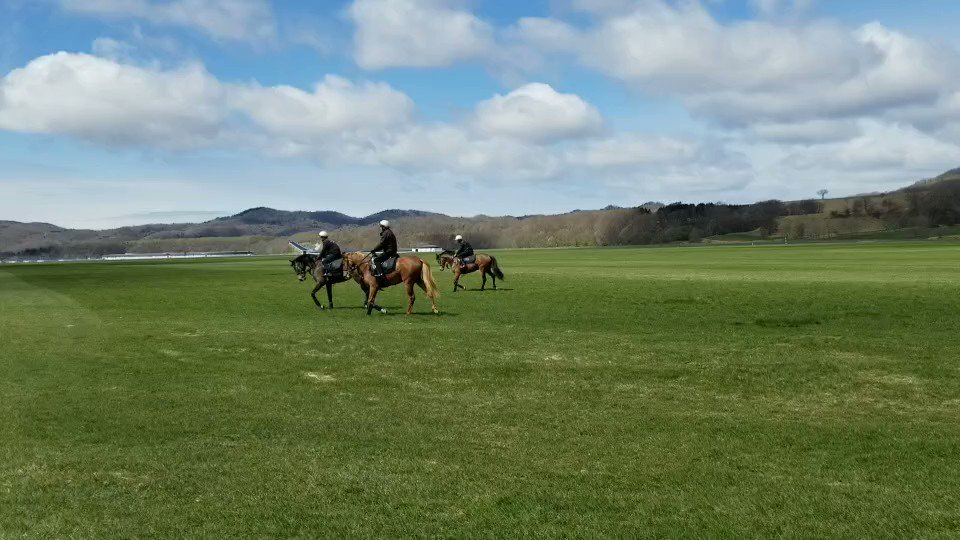 #川崎競馬場

馬主席受付に
・勝馬
・日刊競馬
・競馬ブック
・ケイシュウ
４紙が並び、好きな紙面を戴ける😊

#アグネスプリンセス 

今日は印が少ないな・・・と‼️
「ブービー人気」に◎が１つ

◎の御礼に🙇‍♂️
ララフォーナのメンコ2種類
(パドック用)(馬場用)付けた

アグネスプリンセスを贈ります🎁  