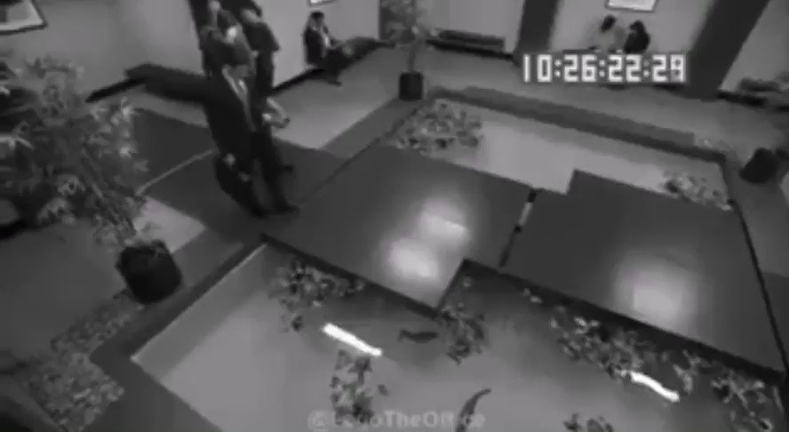 Reminder that the full video of michael scott falling into a koi pond exists https://t.co/mgNN8Am9XS